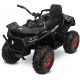 Quad Toyz TERRA Črna za Otroke