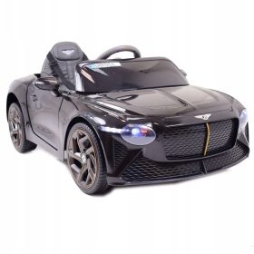 AKUMULATOR BACALAR BENTLEY POLNA RAZLIČICA, KOVČEK/JE1008