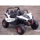 JEEP BUGGY UTV MX - BELA