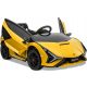 LAMBORGHINI SIAN ELEKTRIČNI AVTO Z AKUMULATORJEM 12V 2x45W
