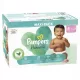 Plenice Pampers Harmonie Velikost 4 74 kos.