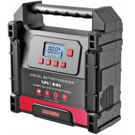 Polnilec za akumulator 25A za 12V / 24V ZWY