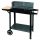  Žar na oglje Master Grill 49 x 27 cm