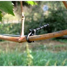  GUYOT NASTAVLJIVO DRŽALO ZA RASTLINE 12 CM