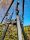  Žari Giant tripod 230 cm Stojalo za žar 100 cm z okrasnim C in borovim stožcem