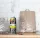2× Strong 4INSECT BOMB 400 ml – meglena insekticidna bomba proti stenicam, mravljam, ribam, muham in bolham