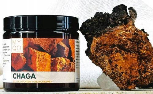 Kapsule Chaga za podporo prebavnega in imunskega sistema - 90 kapsul