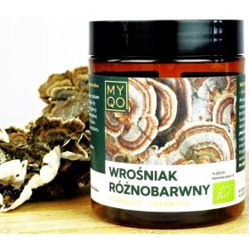   Ekološki Prah Trametes Versicolor - Podpora za Imunski Sistem, 100g