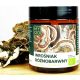 Ekološki Prah Trametes Versicolor - Podpora za Imunski Sistem, 100g