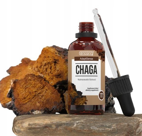 Ekstrakt Chaga AdaptSense Encann® - Koncentriran Vir Antioksidantov