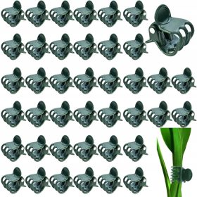    100x sponke za rastline in orhideje | Podpora za cvetove in stebla