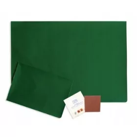 Popravilo Kit za Popravilo Ponjav 45x32 cm Zelena