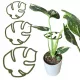  Podpora za rastline in rože MONSTERA STRONG Sponka za oporo SML 3x