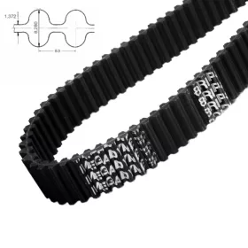    Dvostranski zobati jermen HTD D8M 2000 širine 50 MEGADYNE 250 zob