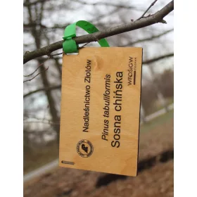    Vrtna plošča/označevalnik, lesena vezana plošča, lasersko graviranje