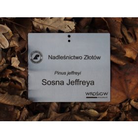   Obesek/označevalnik za vrtno ploščo, nerjaveče jeklo, lasersko graviran (85x60mm)