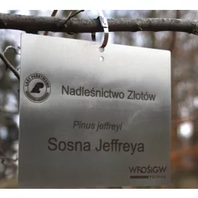    Obesek/označevalnik za vrtno ploščo, nerjaveče jeklo, lasersko graviran (125x85