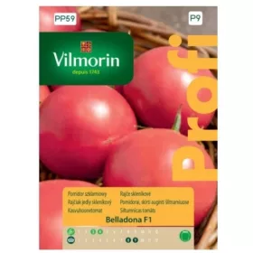  Paradižnik Belladona F1 Vilmorin 8 semen