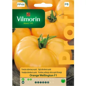  Semena oranžnega paradižnika Wellington F1 Vilmorin 0,1 g