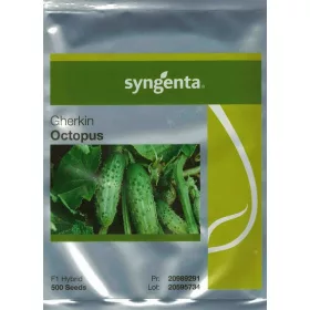  Syngenta hobotnica tradicionalna semena kumar 14 g