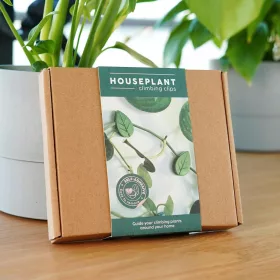    Plezalne sponke za sobne rastline, 12 zelenih sponk v obliki