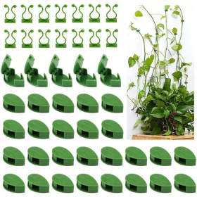  Sponke za vzpenjavke, 50 sponk za rastline, stenske, zelene