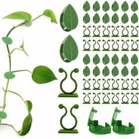    60 kosov držal za rastline, za stensko montažo, za rastline