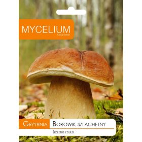  Micelij jurčkov micelij 10 g