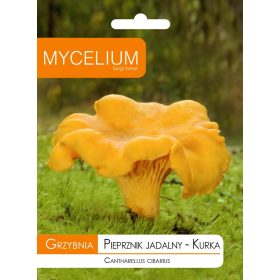  Micelij micelij Chanterelle 10 g