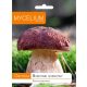  Micelij micelij borovega jurčka 10 g