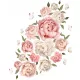 Rožnati set stenskih nalepk Rože Peonies 2 60X100