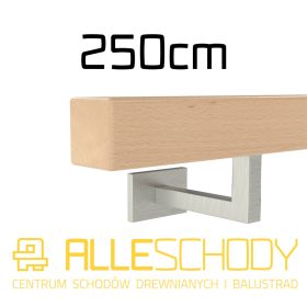   Lesena stenska ograja visoke kakovosti 40x40 250cm bukev lakirana