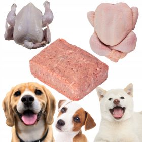   BARF surovo zamrznjena piščančja hrana s kostmi za pse, 10 kg