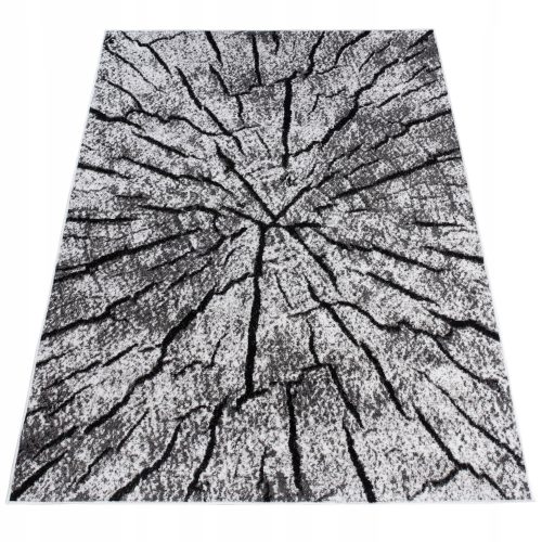 Najlon Nizka Preproga Chemex 200 x 300 cm
