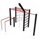 STREET WORKOUT PULL-UP BAR MONKEY GROVE