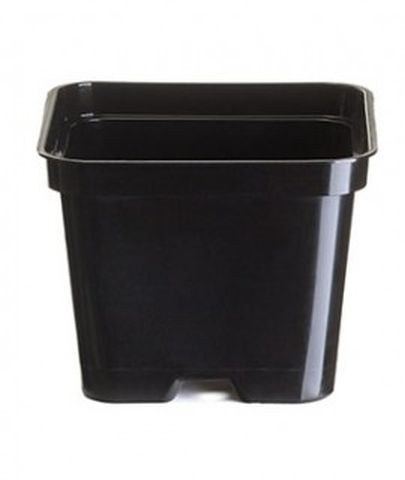 Cvetlični lonček za sajenje rastlin 7,50x7,50x7,50 cm črna plastika