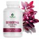 Berberin HCL - 98% izvleček iz korena Berberisa za zdravje in metabolizem
