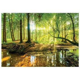 VINIL tapeta gozd drevesa narava 3D 368x254