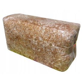  Ostrigarjev micelij ostrigarjev substrat užitne gobe