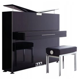   Elegantni klavir, ki navdihuje pianista s svojo čistostjo in plemenitostjo. Ta klavir je več kot le glasbilo, je umetniško delo, ki ustvarja harmonijo med glasbo in dušo glasbenika. Puryzem je osrednj