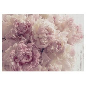 Stenska poslikava PONIJE ROŽE DNEVNA SOBA SPALNICA 520x318