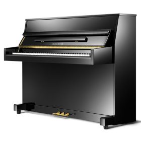 Pearl River - vrhunski klavir za začetnike