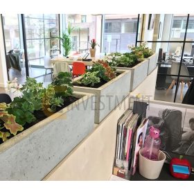 Betonski vrtne lonci - Piccolo lonec 50x20x15