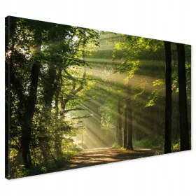 Slikanje na platnu gozdnih dreves 120x80