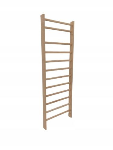 Gimnastična lestev za vadbo STANDARD 240x70 cm