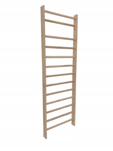 Drabinka za gimnastiko STANDARD 245 x 90 cm