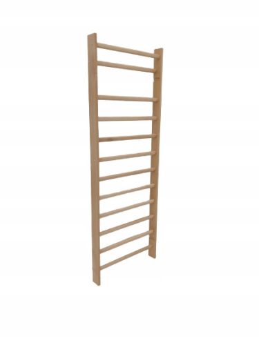 Gimnastična lestev STANDARD 230x90 cm
