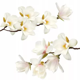 Stenske nalepke Magnolije v cvetju 100 x 50 cm