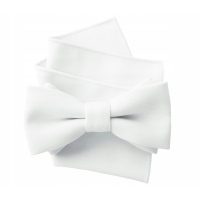 Kravate in metuljčki