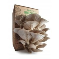 Gobe ​​za gojenje